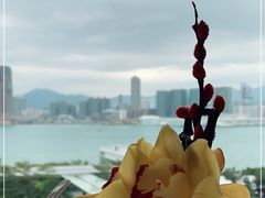 -龙景轩(香港四季酒店)