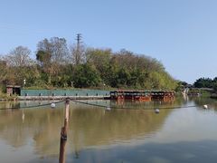 -江门古劳水乡旅游区