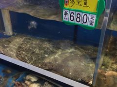 水产区-味到1981日照海鲜·渔饺子