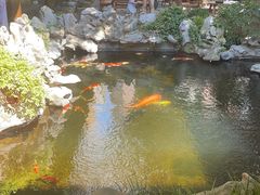 -鲤院·新中式美学·庭院餐厅(夫子庙店)