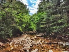 -黑河国家森林公园