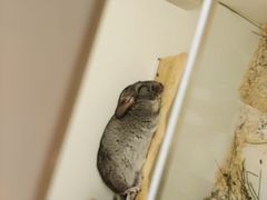 -龙猫仔乐园(惠福东路店)