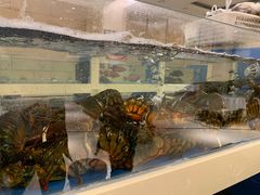 -双井轩(双井店)