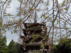 -醍醐寺
