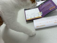 -宠颐生汉谟拉比宠物医院