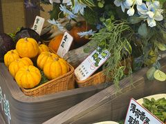 -桥边小楼·手工云南菜·古城观景小楼