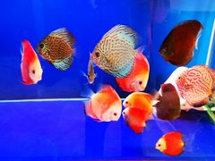 -大兴滨河森林公园