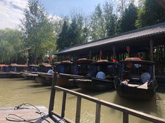 -溱湖国家湿地公园