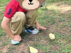 -洨河生态公园