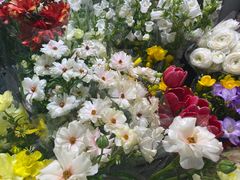 -双季花艺园艺市场(浦东店)
