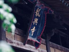 -龙兴寺