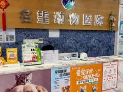 -瑞派名望志远动物医院·猫科·內科·异宠专科(直港大道店)