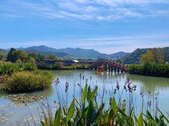 -东钱湖旅游度假区