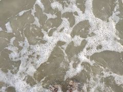 -北海金海湾红树林生态旅游区