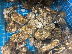 -宾朋海鲜特色美食餐厅·纯手工鲅鱼水饺(兴海路店)