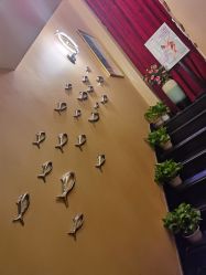 -唯伊美塑身美养连锁