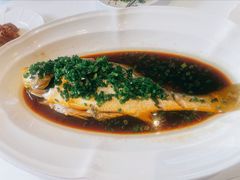 葱油蒸东海大黄鱼-福1039(愚园路店)