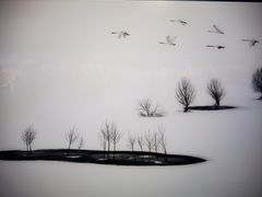 -罗红摄影艺术馆