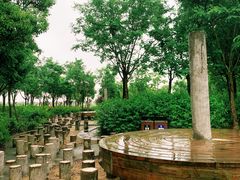 -春花秋色城市公园