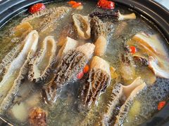 -蘑统田下·野生菌火锅