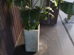 -阿伟海鲜楼·福建菜(涵江店)