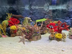 -上海海洋水族馆