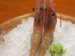 -月龍吟(朝龙汇店)