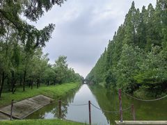 -黄海国家森林公园