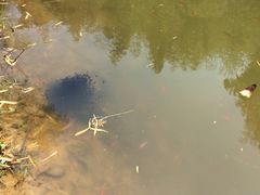 iphone_upload_pic-宁波浙东大竹海景区