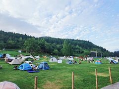 -武陵山森林公园