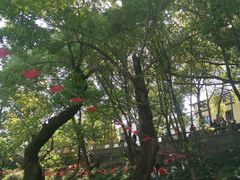 -兴福老面馆(寺路街店)