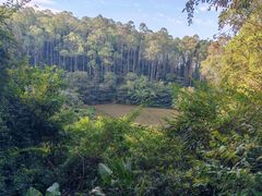 -水濂山森林公园