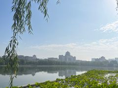 -莲花池公园