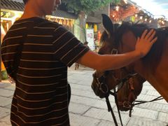 -南楚古都