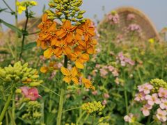 -中国天府农业博览园