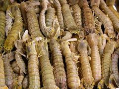 -小科自助海鲜烧肉(高区店)