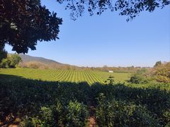 -敬亭山风景名胜区