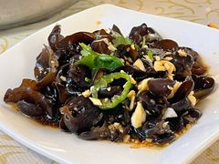 -百利鸽王(紫薇路店)