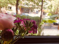 -ZM COFFEE(西安路店)