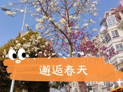 -苏州太湖国家湿地公园