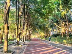 -南宁南湖公园