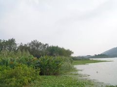 -贡湖湾湿地公园