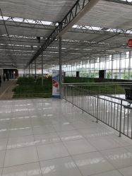 -蓝呗呗蓝莓草莓采摘园(通州区马驹桥店)