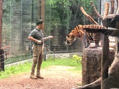 -清迈夜间动物园