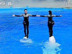 -海合安成都极地海洋公园