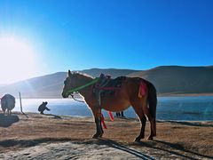 游乐设施-羊卓雍措