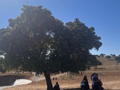 -五角枫生态旅游景区