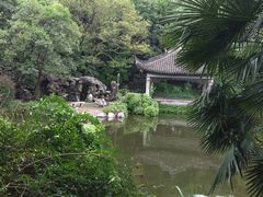 -叶家花园