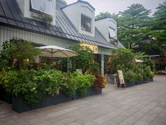 -花神·轻食简餐·咖啡馆·花卉绿植(荷兰花卉小镇店)