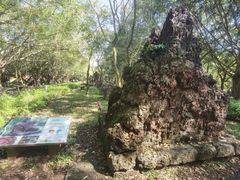 -海口火山口国家地质公园